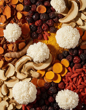 Prebiotic Digestive Blend