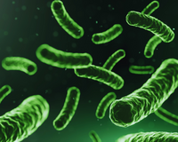 30 Probiotics Benefits Statistics — Key Facts Every Health-Conscious Adult Should Know in 2025