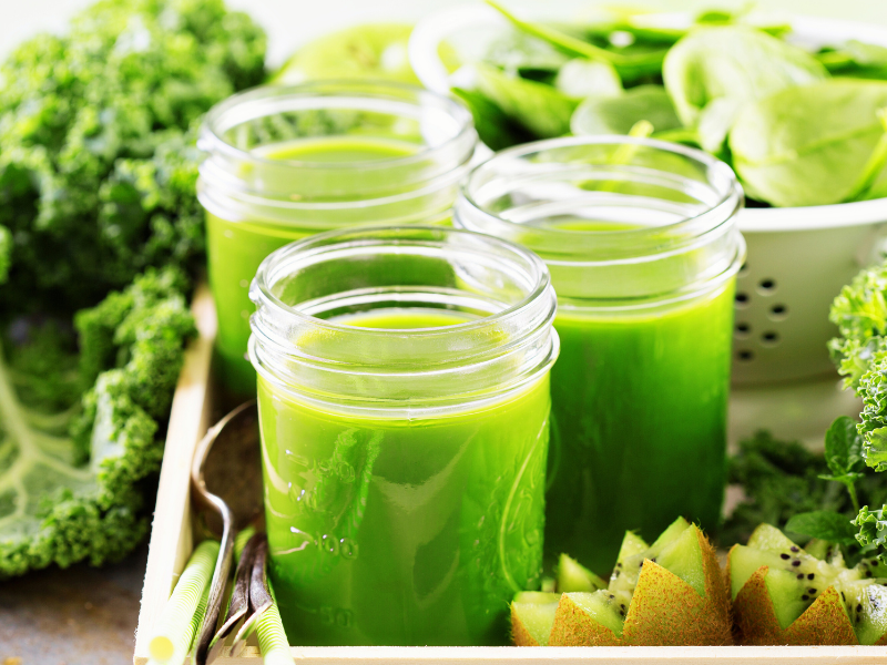 Best Garden of Life Perfect Food Alternatives - 2025