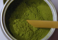Best Greens Supplement Powder in 2026