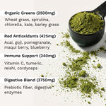 XV1 Green Superfood Powder