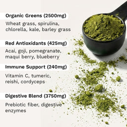 XV1 Green Superfood Powder