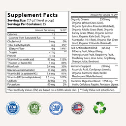 XV1 Green Superfood Powder
