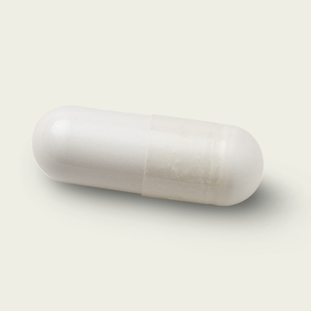 XV1: NAD+ Complex